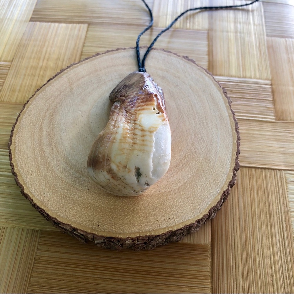 Shell necklace #203